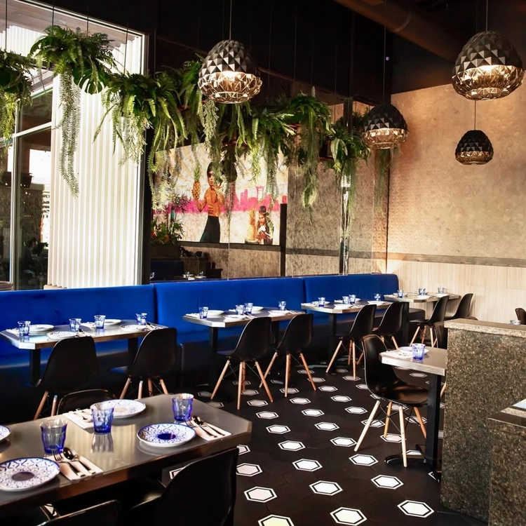 Elegant Indoor Dining with Thai Cuisine